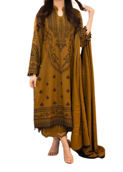 Royal Handmade Organza Embroidered Suit