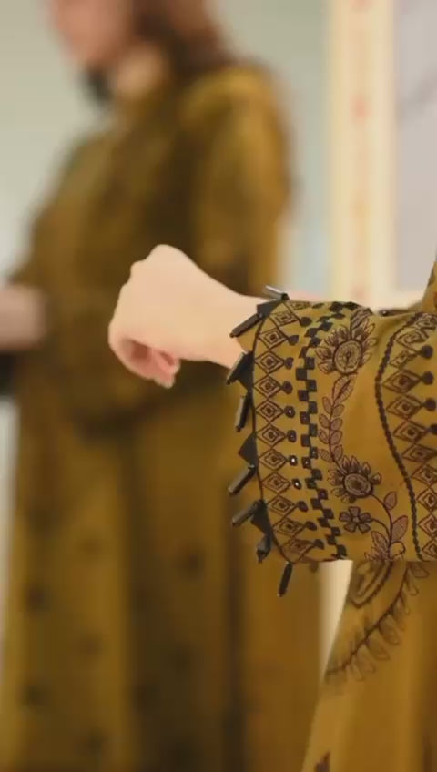 Royal Handmade Organza Embroidered Suit